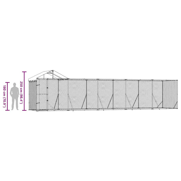 Koiran ulkohäkki katolla hopea 10x2x2,5 m galvanoitu teräs