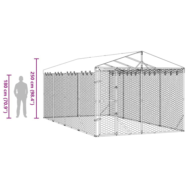 Koiran ulkohäkki katolla hopea 3x6x2,5 m galvanoitu teräs