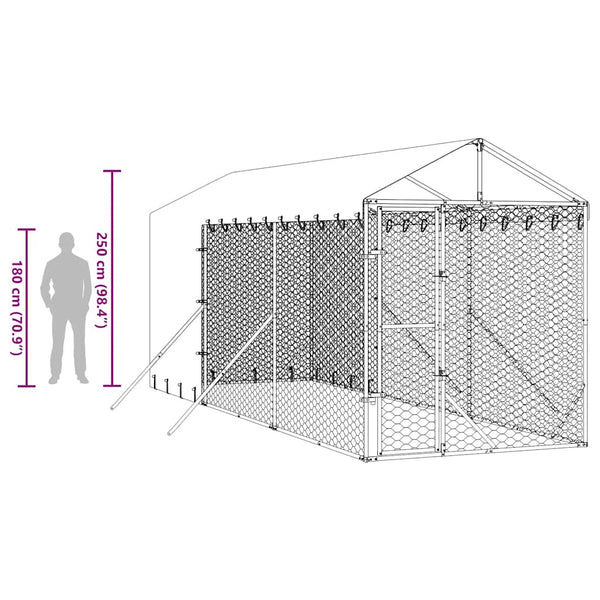 Koiran ulkohäkki katolla hopea 2x6x2,5 m galvanoitu teräs