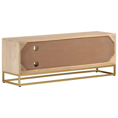 TV-taso 110x30x40 cm täysi mangopuu ja rauta