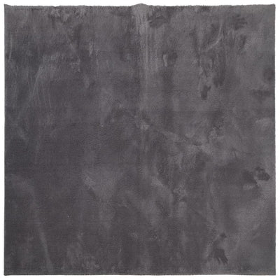 Matto HUARTE lyhytnukkainen ja pestävä antrasiitti 120x120 cm
