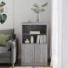 Senkki LED-valoilla harmaa Sonoma 60,5x37x100 cm