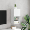 TV-kaappi LED-valoilla valkoinen 30,5x30x60 cm