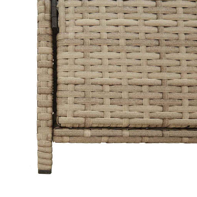 Beige puutarhan säilytyskaappi Chioveanu 83x45x76cm (polyrottinki)