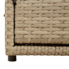 Beige puutarhan säilytyskaappi Shaniece 110x55x60,5cm (polyrottinki)
