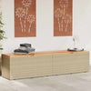 Beige puutarhan säilytyslaatikko Hatcu 220x50x54cm (polyrottinki)