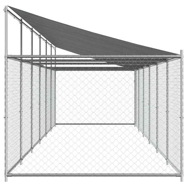 Koiranhäkki katolla ja ovella harmaa 12x2x2 m galvanoitu teräs