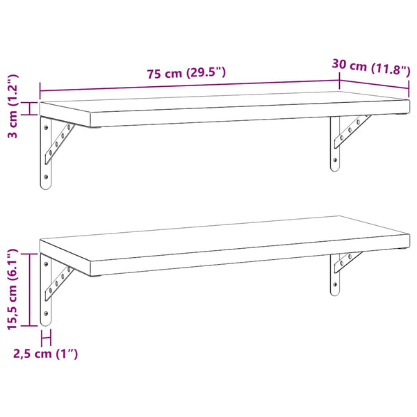 Seinähyllyt 2 kpl 75x30 cm hopea ruostumaton teräs