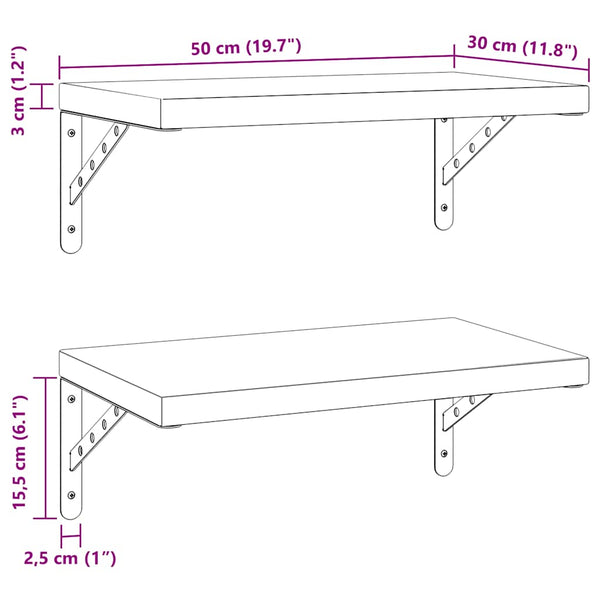 Seinähyllyt 2 kpl 50x30 cm hopea ruostumaton teräs