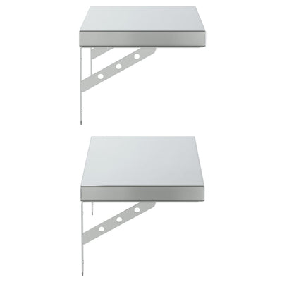Seinähyllyt 2 kpl 50x23,5 cm hopea ruostumaton teräs