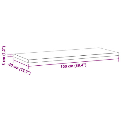 Seinähyllyt 2 kpl 100x40x3 cm hopea ruostumaton teräs