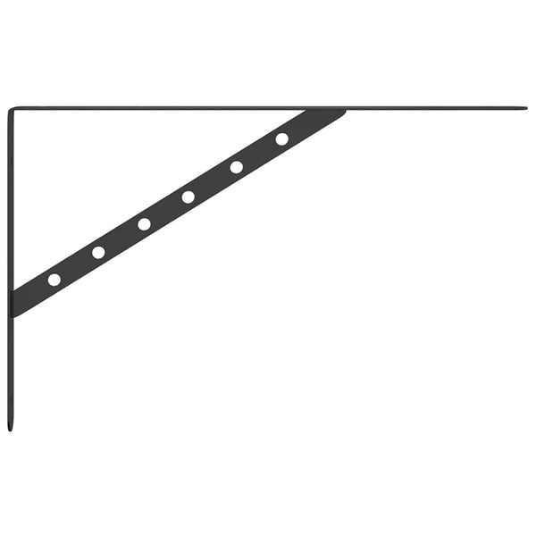 Seinätelineet kpl 40x2,5x25 cm musta ruostumaton teräs