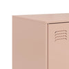 Senkki pinkki 67x39x107 cm teräs