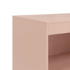 Senkki pinkki 67x39x107 cm teräs