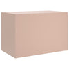 TV-tasot 2 kpl pinkki 67x39x44 cm teräs