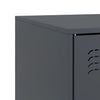 TV-tasot 2 kpl antrasiitti 67x39x44 cm teräs