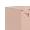 Senkki pinkki 99x39x73 cm teräs