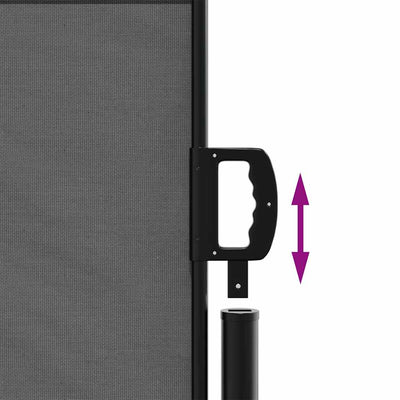 Antrasiitti sisäänvedettävä sivumarkiisi Paraschita 140x300cm