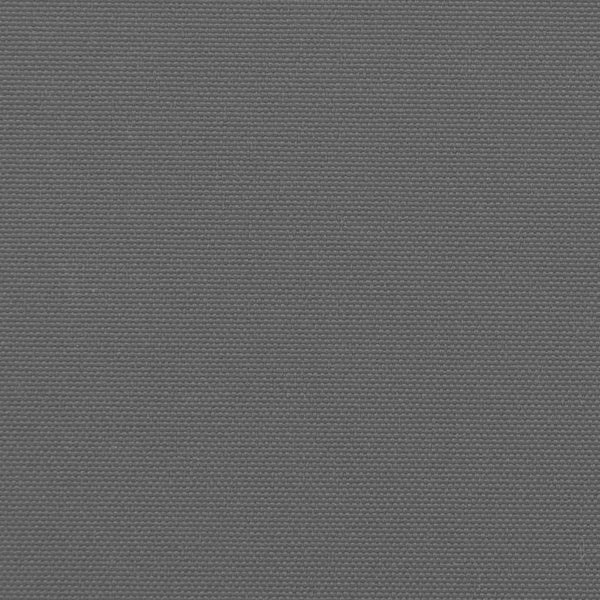 Sisäänvedettävä sivumarkiisi antrasiitti 220x600 cm