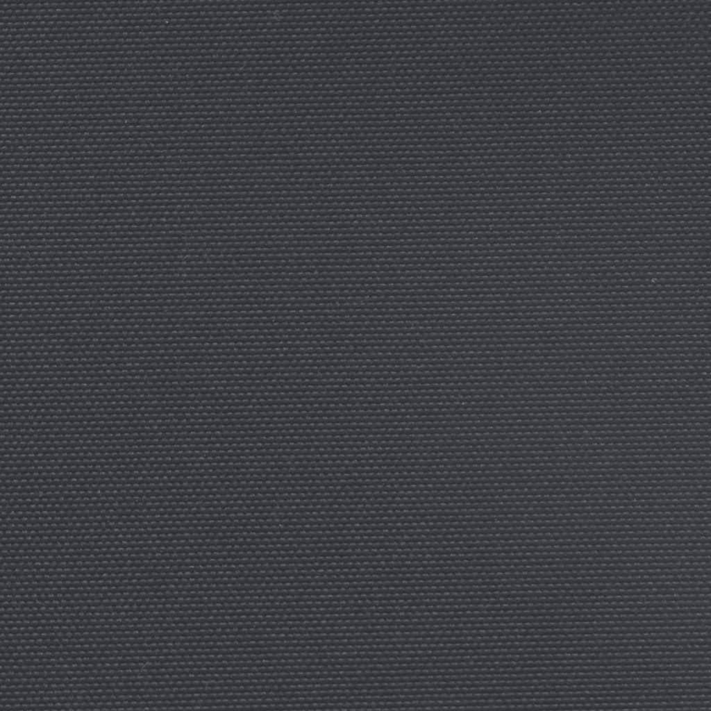Sisäänvedettävä sivumarkiisi musta 220x1000 cm