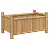 Kukkalaatikko 50x30x25 cm bambu