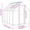 Kasvihuone pohjarungolla antrasiitti 224x169x202 cm alumiini