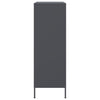 Antrasiitti kaappi Stefanesti 68x39x113cm (teräs)