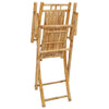 Taitettavat puutarhatuolit Budomir 53x66x99cm (4 kpl bambu)
