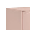 TV-taso pinkki 100,5x39x60,5 cm teräs