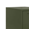 Oliivinvihreä kaappi Johannes 36x39x107cm (teräs)