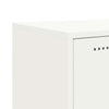Valkoinen kaappi Iliaz 100,5x39x107cm (teräs)