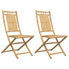 Taitettavat puutarhatuolit 2 kpl 46x66x99 cm bambu