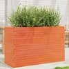 Vahanruskea puutarhakukkalaatikko Dilaver 110x40x68,5cm (mänty)