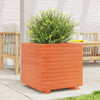 Vahanruskea puutarhakukkalaatikko Dilaver 50x50x49,5cm (mänty)