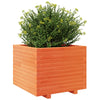 Vahanruskea puutarhakukkalaatikko Dilaver 60x60x49,5cm (mänty)