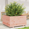 Puutarhakukkalaatikko Dilaver 90x90x49,5cm (douglaskuusi)