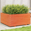 Vahanruskea puutarhakukkalaatikko Dilaver 100x100x49,5cm (mänty)