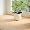 ikkunalaudat 2 kpl Käsittelemätön 90x15x2 cm massiivipuutammea