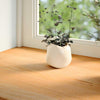 ikkunalaudat 2 kpl vaaleanruskea 110x40x2 cm massiivipuutammea
