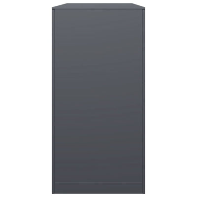 Antrasiitti polttopuuteline Izidora 100x40x80cm (teräs)