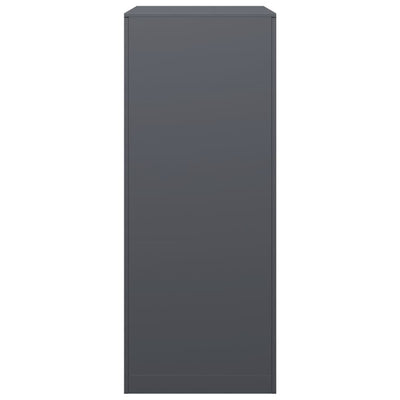 Antrasiitti polttopuuteline Izidora 60x40x100cm (teräs)