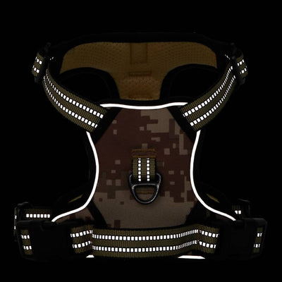 Ruskea koiran valjaat Ilmas XL (heijastavat raidat säädettävä)