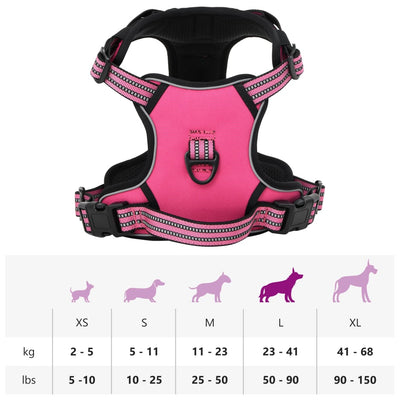 Pinkki koiran valjaat hihnalla ja kaulapannalla säädettävä Iedor L