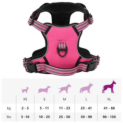 Pinkki koiran valjaat Iedor XL (hihnalla ja kaulapannalla säädettävä)