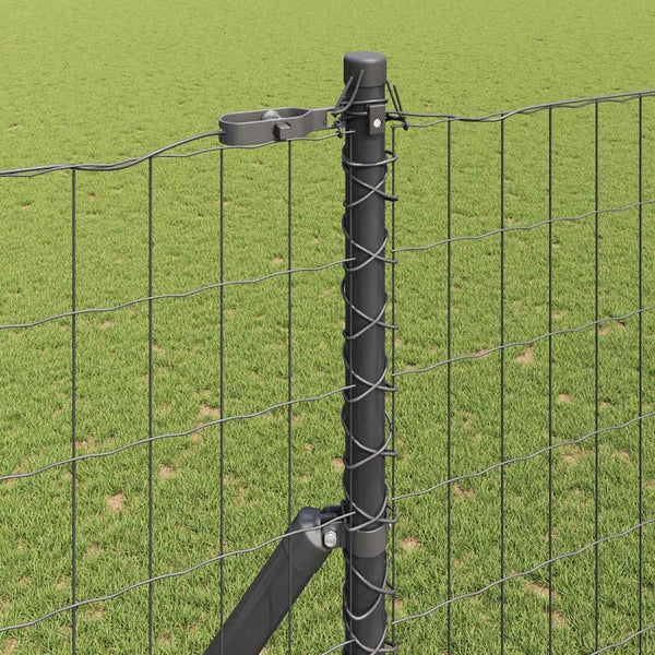 Euro-aidan maaperäkiinnitys 10 x 1,6 m PVC-pinnoitettu teräs