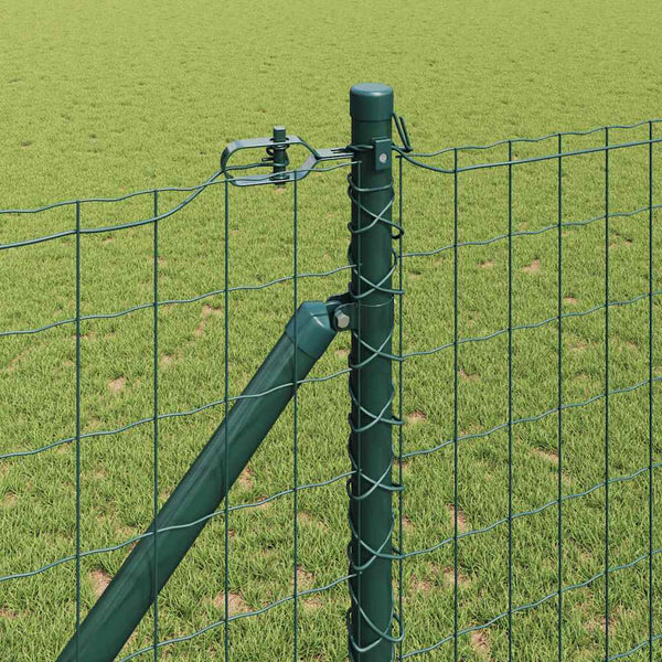 Euroaita Piikeillä 10 x 1,2 m PVC-pinnoitettu teräs Vihreä