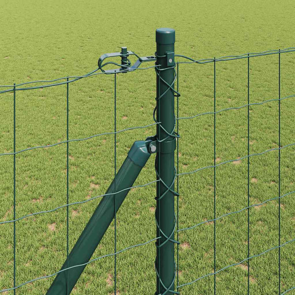 Euroaita Piikeillä 10 x 1,6 m PVC-pinnoitettu teräs Vihreä