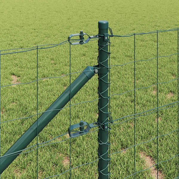 Euroaita Piikeillä 25 x 0,4 m PVC-pinnoitettu teräs Vihreä