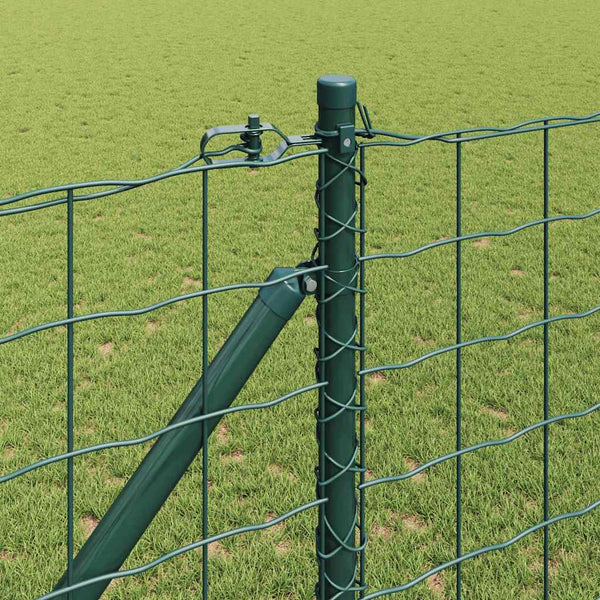 Euroaita Piikeillä 25 x 1 m PVC-pinnoitettu teräs Vihreä Verkko