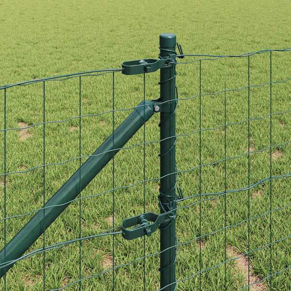 Euroaita Piikeillä 10 x 0,6 m PVC-pinnoitettu teräs Vihreä